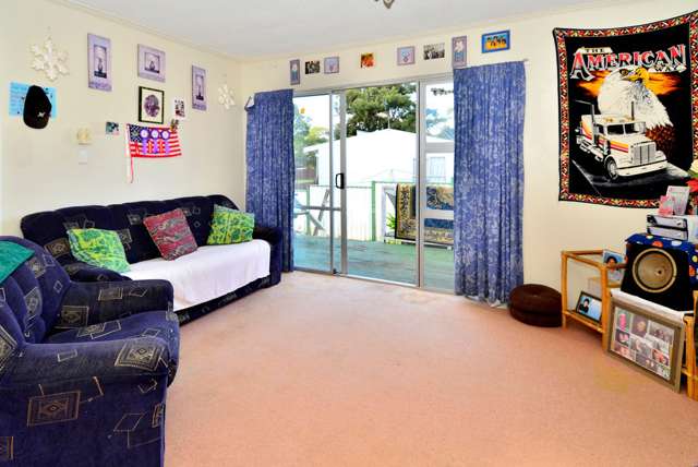 1/4 Slim Place Clendon Park_1