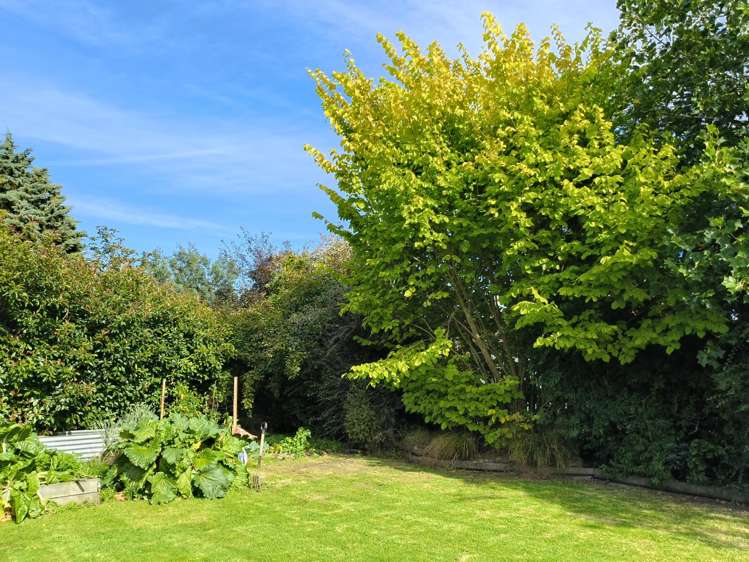 16 Moore Street Milton_7