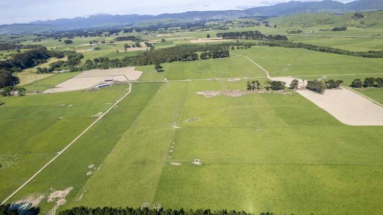 162 Hamua Hukanui Road Eketahuna_18