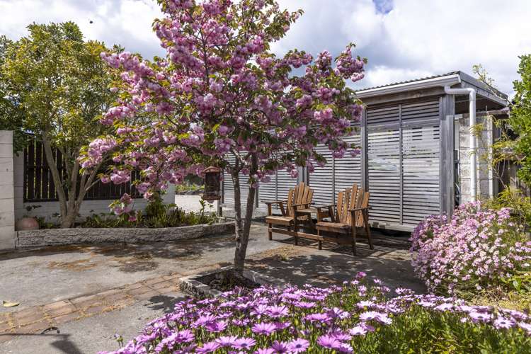 150 Rarangi Beach Road Rarangi_33