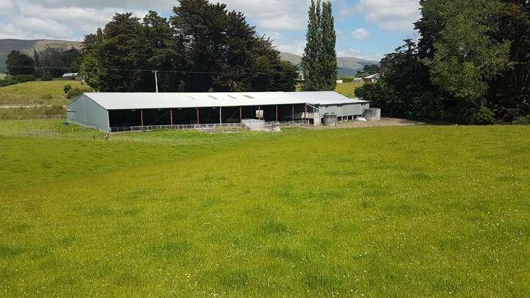 259 Kaihiku Church Road Clinton and Surrounds_16