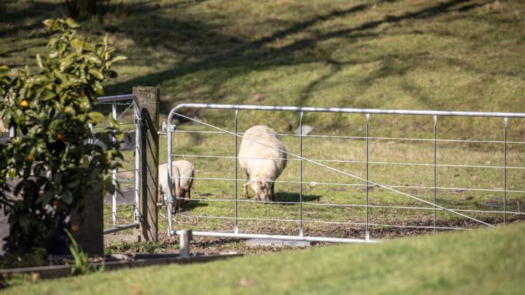 29c Pheasant Close Rotokauri_17