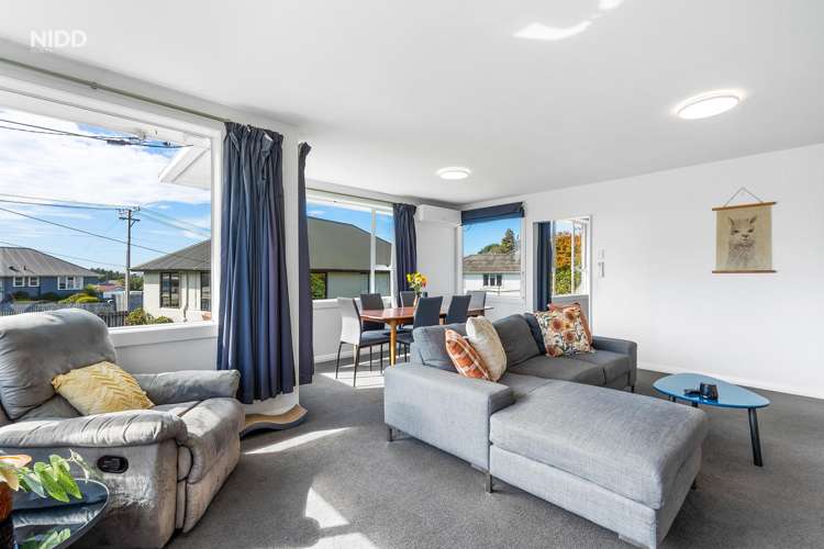 111 Ashmore Street Halfway Bush_3