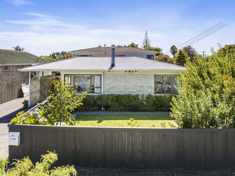 1/37 Fir Street Waterview_13