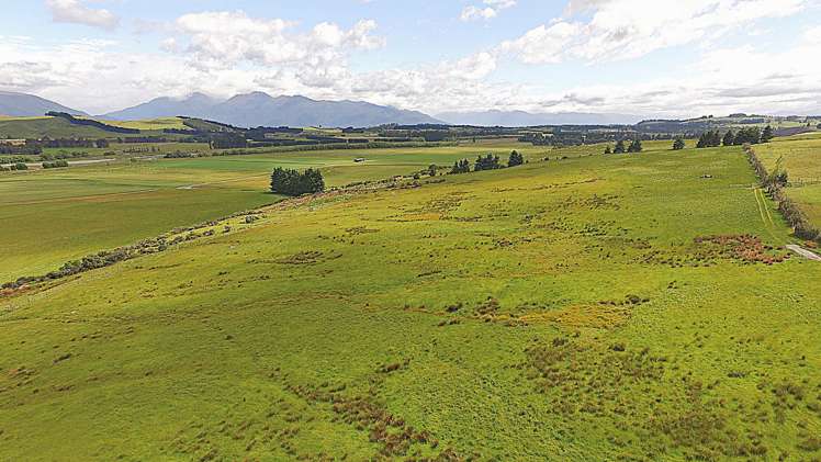 105 Lynwood Road Hillside_14