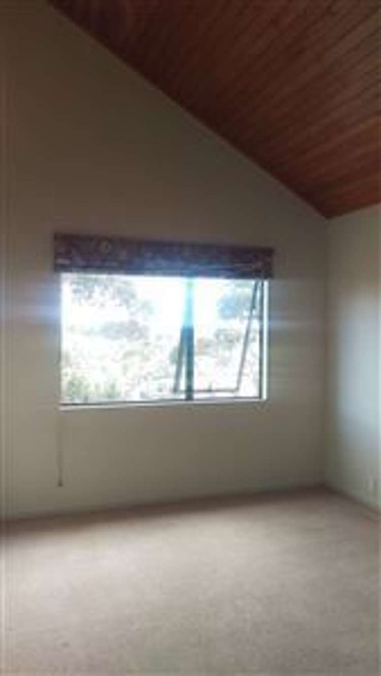 126 Kennedy Road Dairy Flat_10