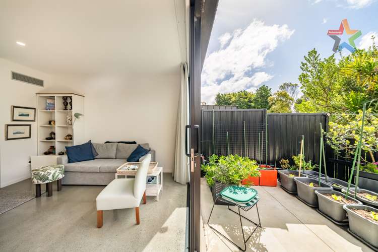 21 Te Ara O Paetutu Petone_6