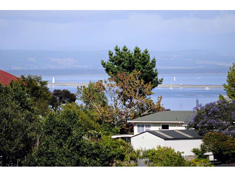 77 Dodson Valley Road Atawhai_21