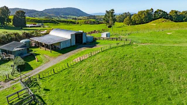271 Endean Road Ngongotaha Valley_3