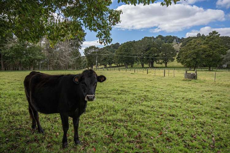 47 Rushbrook Road Ruatangata_25