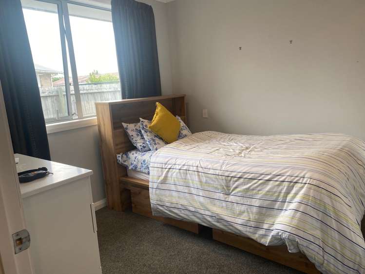 111 Thomson Street Tinwald_6