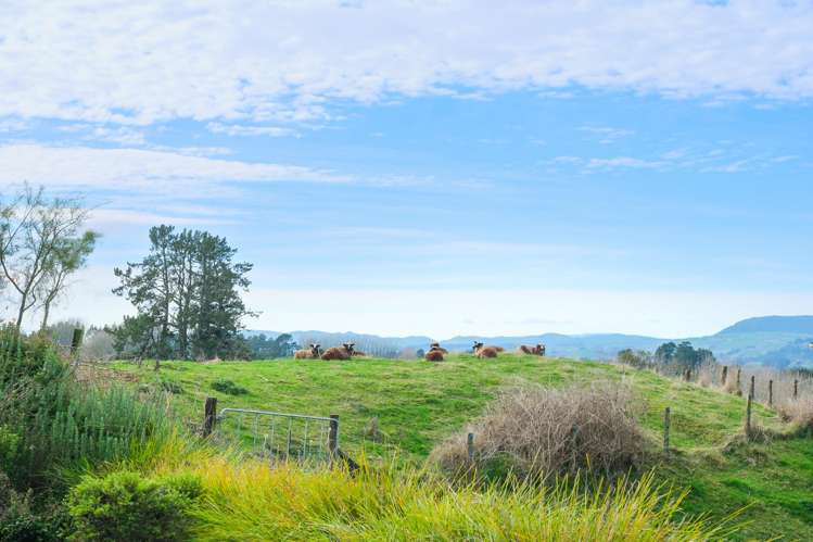 696A Poutakataka Road Ngakuru_17