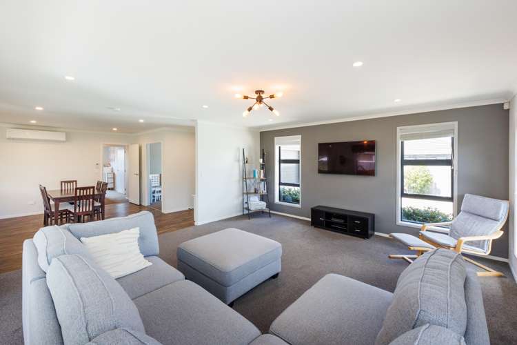 22 Monarch Drive Ashhurst_9