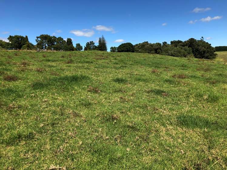 Te Ahu Ahu Road Waimate North_8