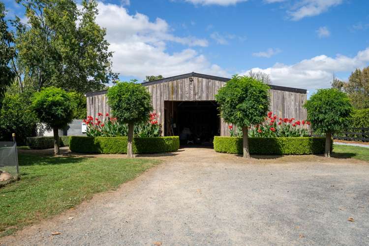 4/191 Racecourse Road Cambridge_2