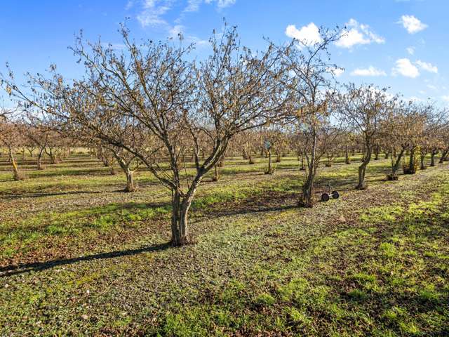 32 Laings Road Tinwald_4