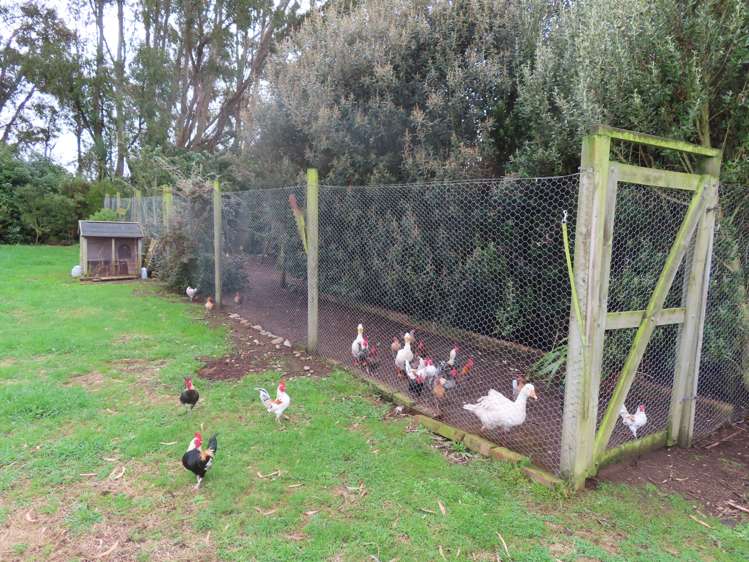 25 Beckett Lane Dannevirke_3