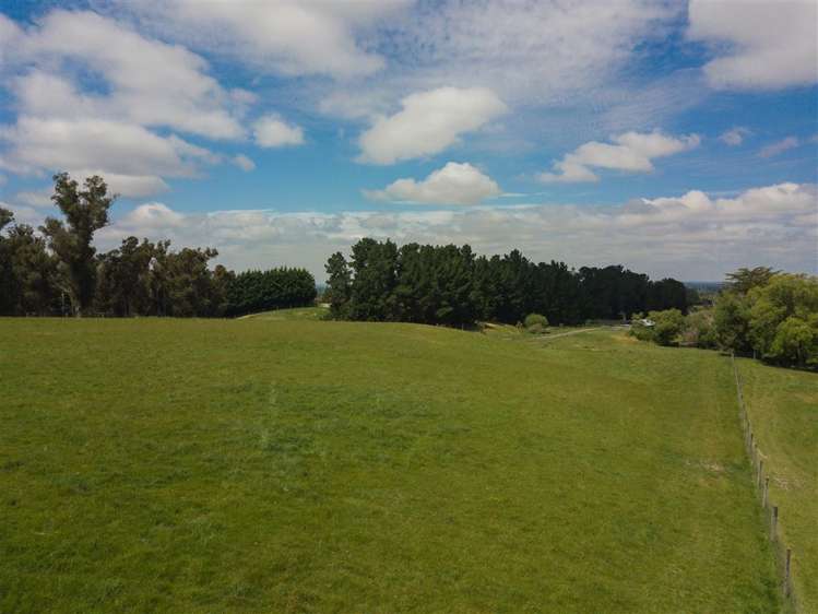 234 Carrs Road Loburn_18