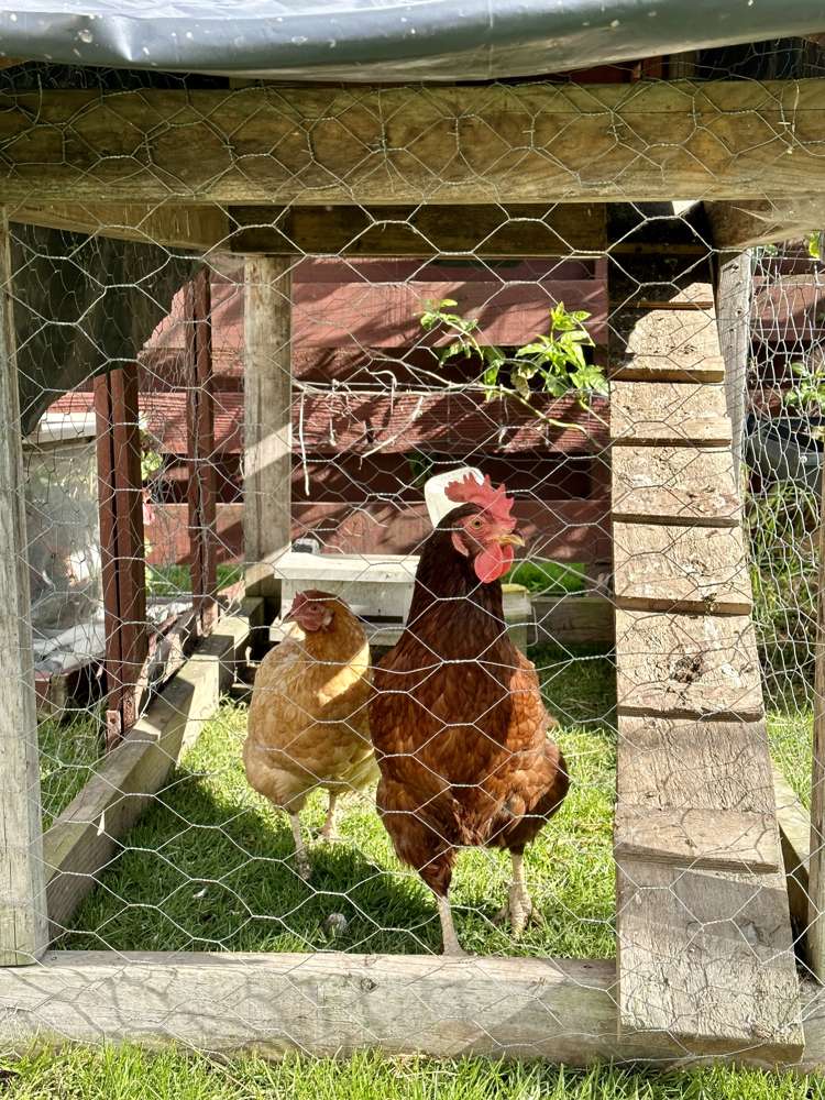 20 Tawhara Place Edgecumbe_16