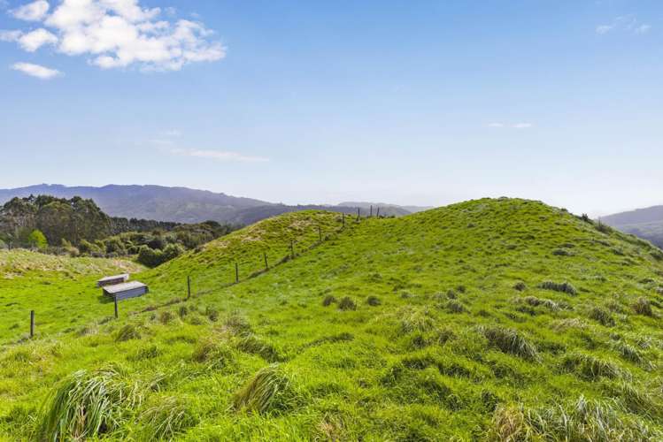 385 Akatarawa Road Reikorangi_8