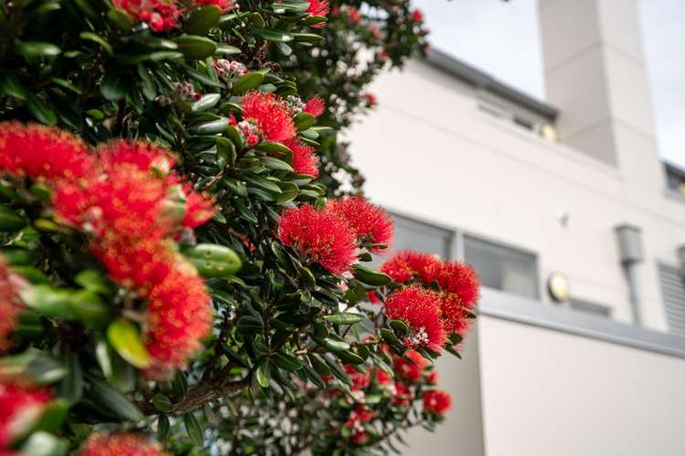 1/12 Agra Crescent Khandallah_20