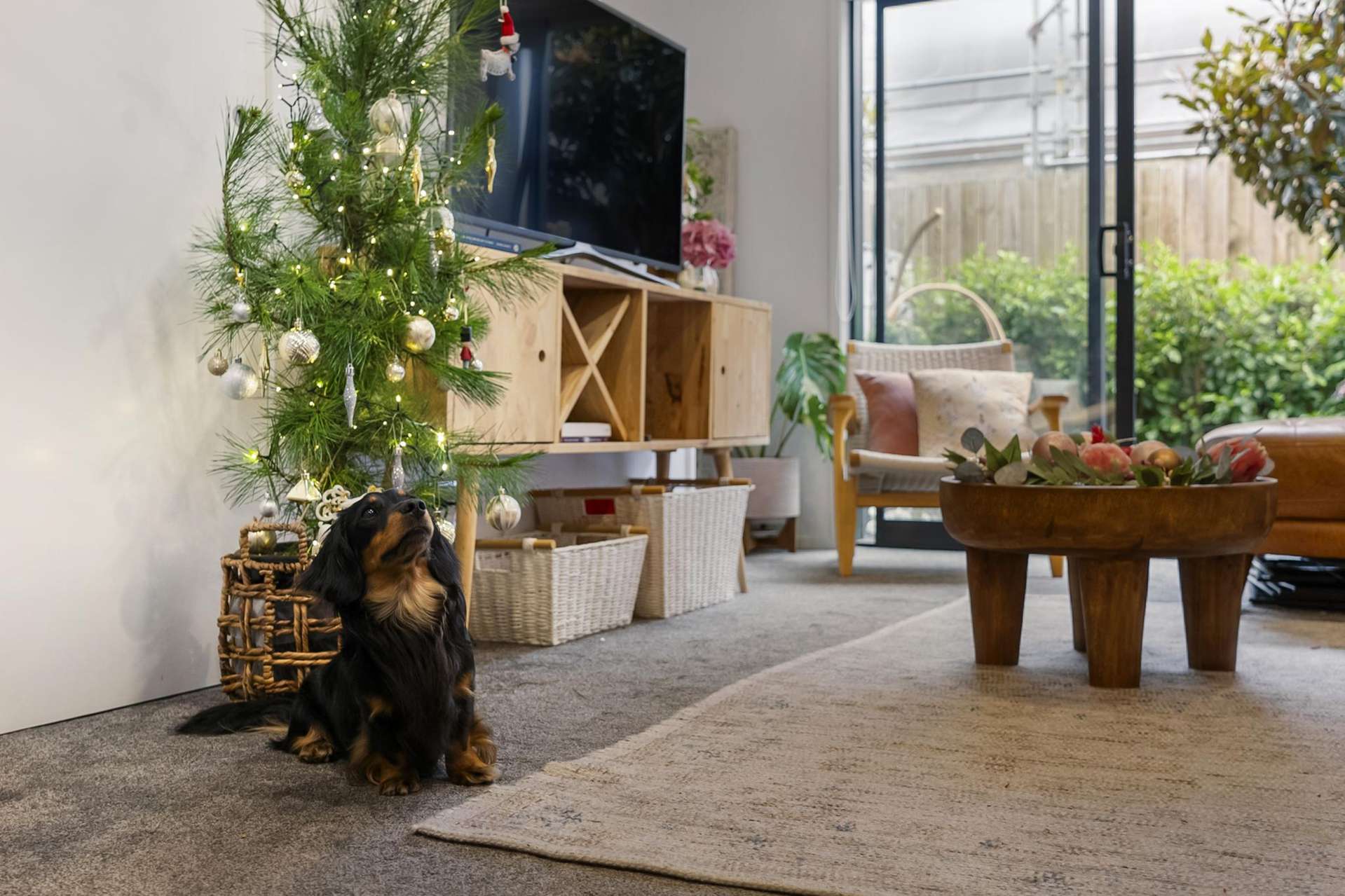 10/10 Yeovil Road Te Atatu Peninsula_0