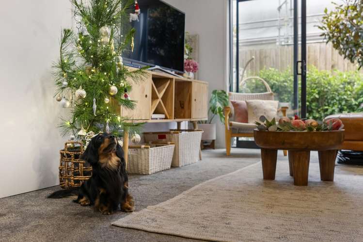 10/10 Yeovil Road Te Atatu Peninsula_0