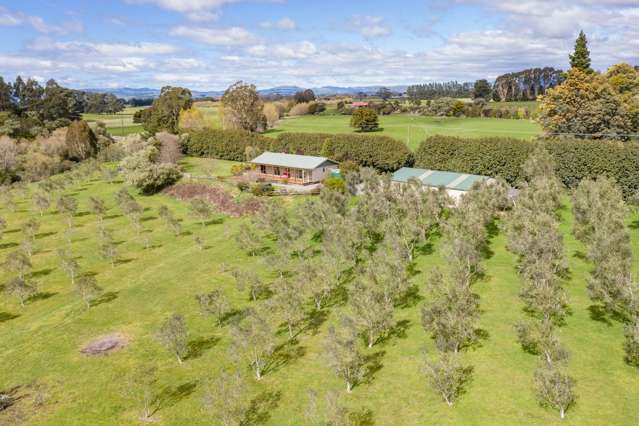 124 Mangatarere Valley Road Carterton_2
