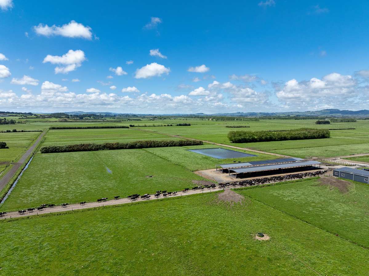 591 / 619 Waiuku-Otaua Road_2