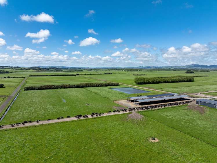 591 / 619 Waiuku-Otaua Road Waiuku_6