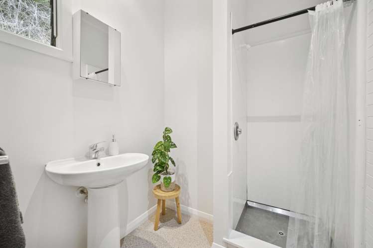 40 Holloway Road Aro Valley_13