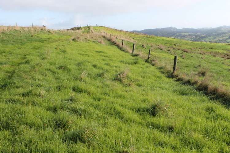 1311 State Highway 12 Maungaturoto_7