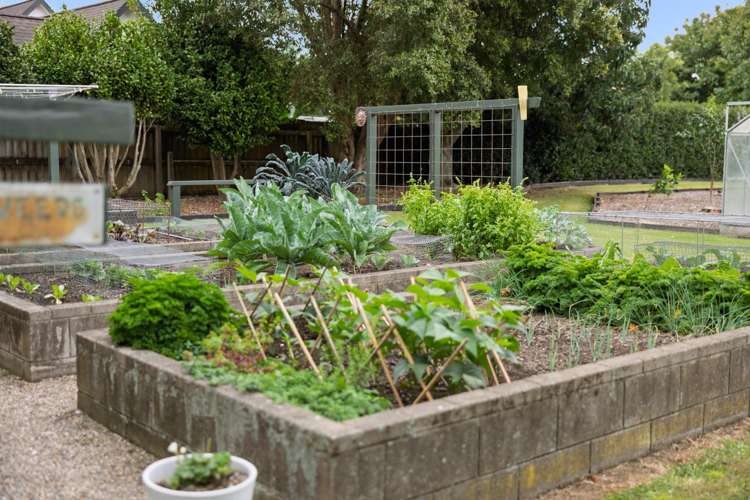 74 Raukawa Drive Bethlehem_33