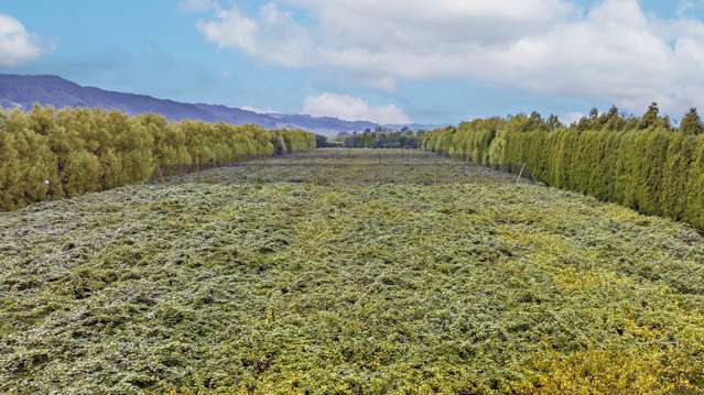 781 Rewatu Road Whakatane_1