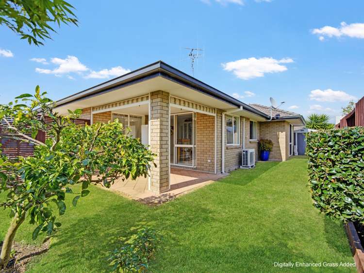 12B Cresta Drive Katikati_25
