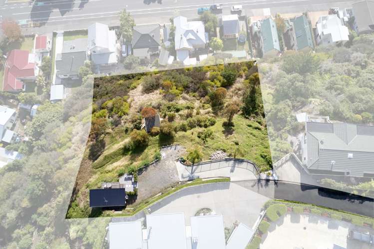 40a Roslyn Road Bluff Hill_15