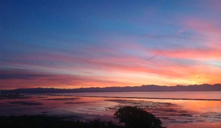 58 Wastney Terrace Marybank_15