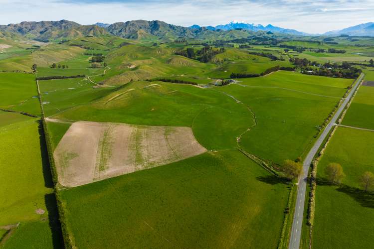 Marama Road Seddon_8