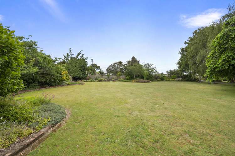 19 Johnson Street Bulls_29