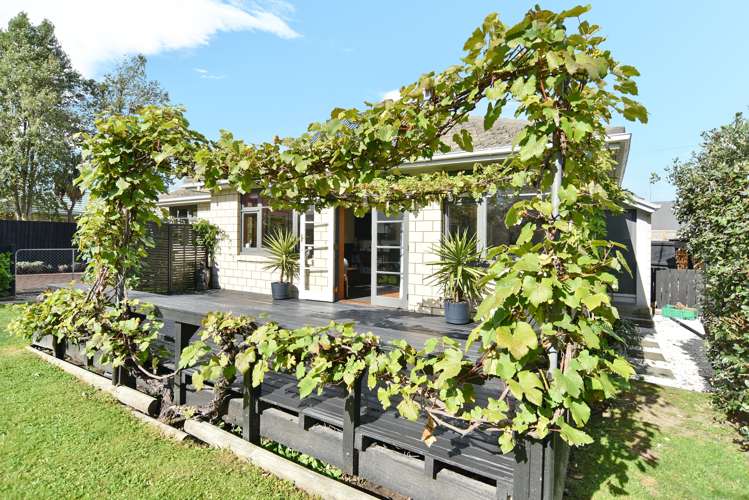 339 Burwood Road Burwood_16