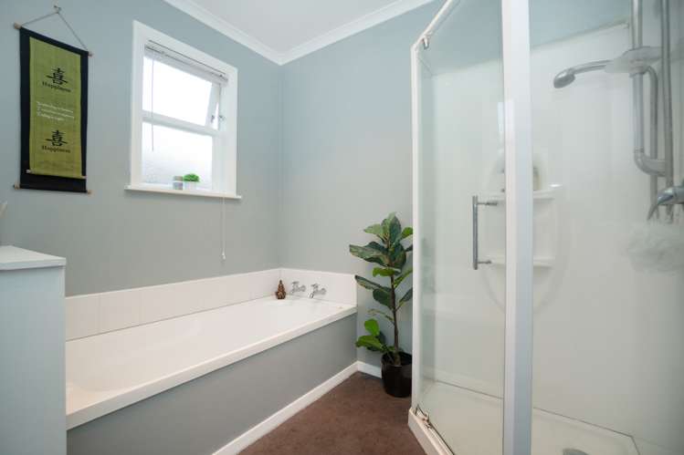 4a Freyberg Street Roslyn_7