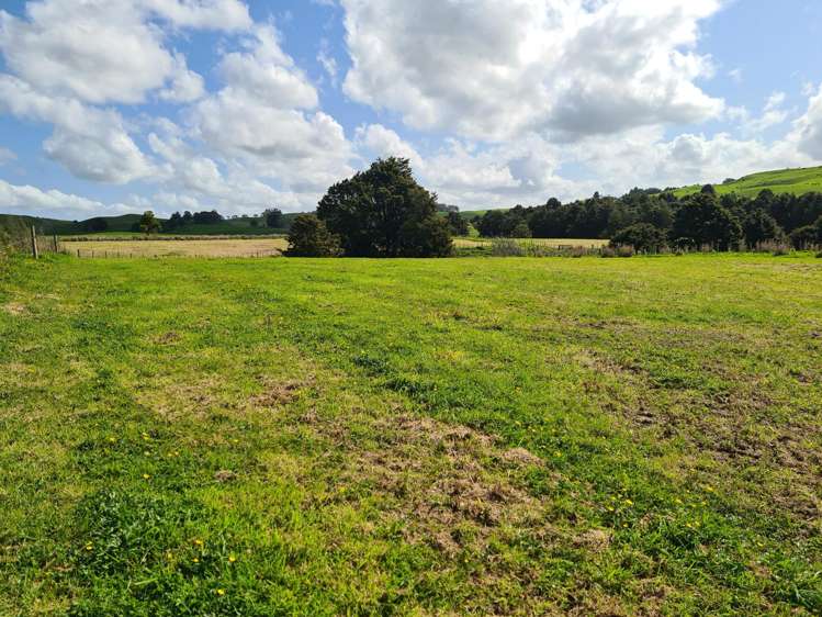 Dodd Road Maungaturoto_32