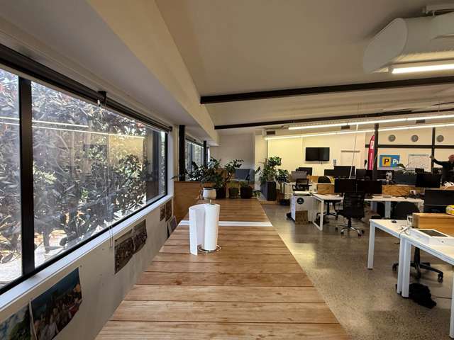 14 McDonald Street Morningside_3