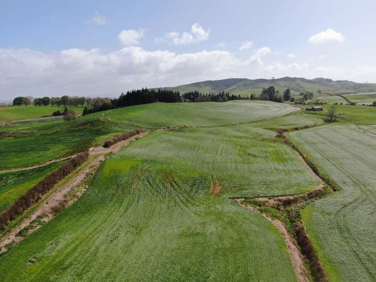 1375 State Highway 3 Otorohanga_27