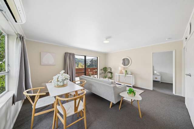 13B Florio Terrace Tawa_4