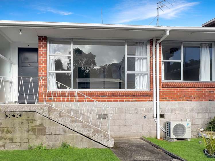 4/6 Peary Road Mount Eden_0