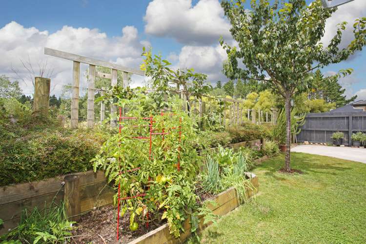 42 Moira Drive Tuakau_15