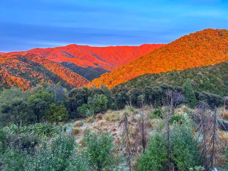 439 Engelbrechts Road Hunter_61