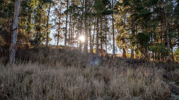 186 Wright Road Roxburgh East_9