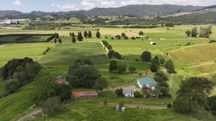 636 Otara Road Opotiki_27